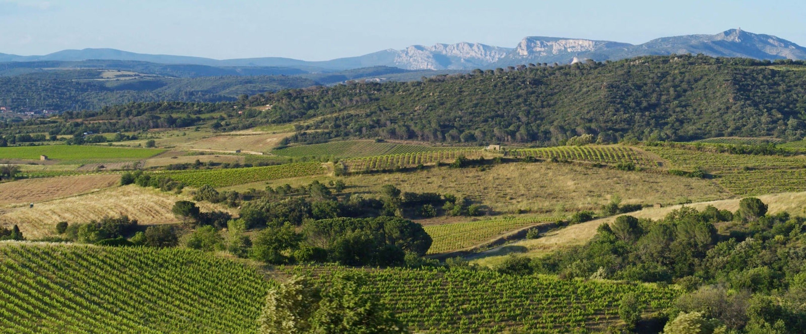 Caves et vignerons